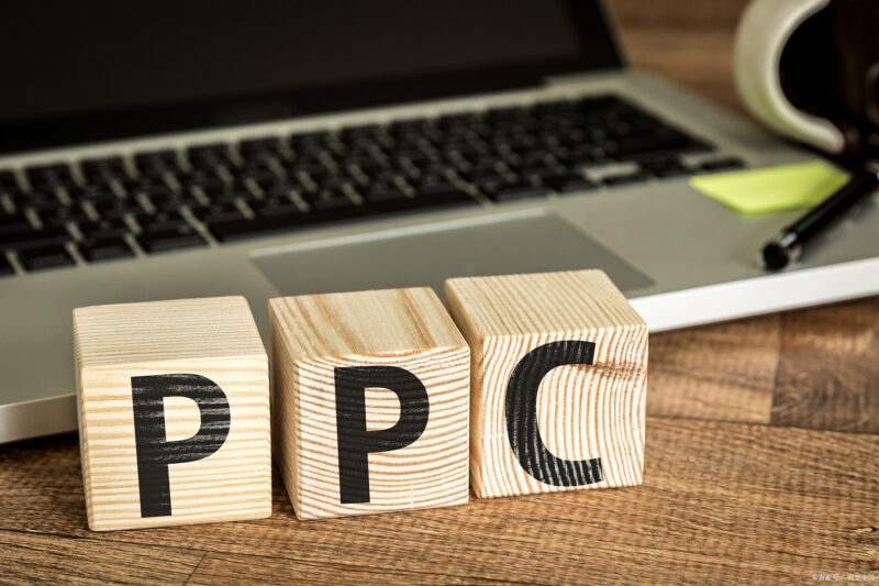 PPC：付费搜索广告计划分析指南插图
