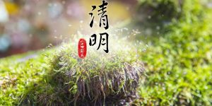 喜传播 | 2025年清明节放假通知缩略图