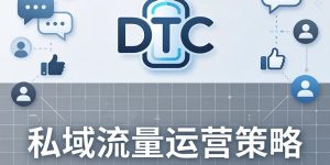 DTC品牌营销是什么？2026年从0到1搭建增长体系，新手也能看懂的实操干货缩略图